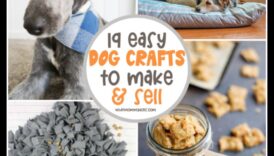 Accesorii DIY pentru iubitorii de animale de companie: comori realizate manual pentru prietenii cu blană