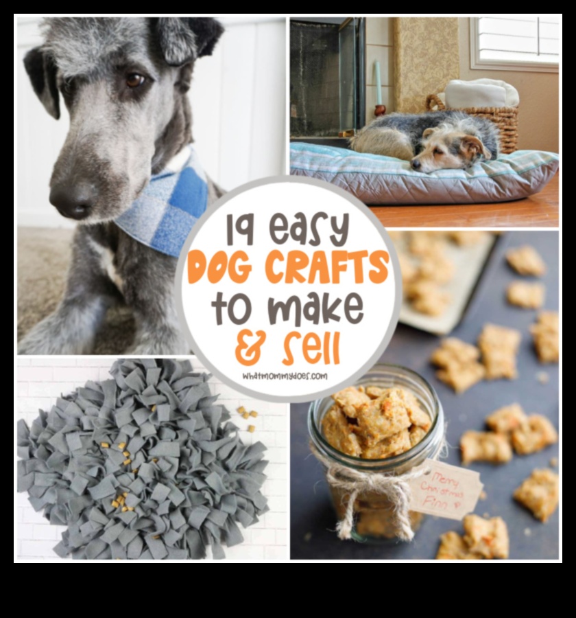 10 accesorii DIY pentru animale de companie pentru proprietarul creativ de animale de companie 1 Accesorii DIY pentru iubitorii de animale de companie: comori realizate manual pentru prietenii cu blană