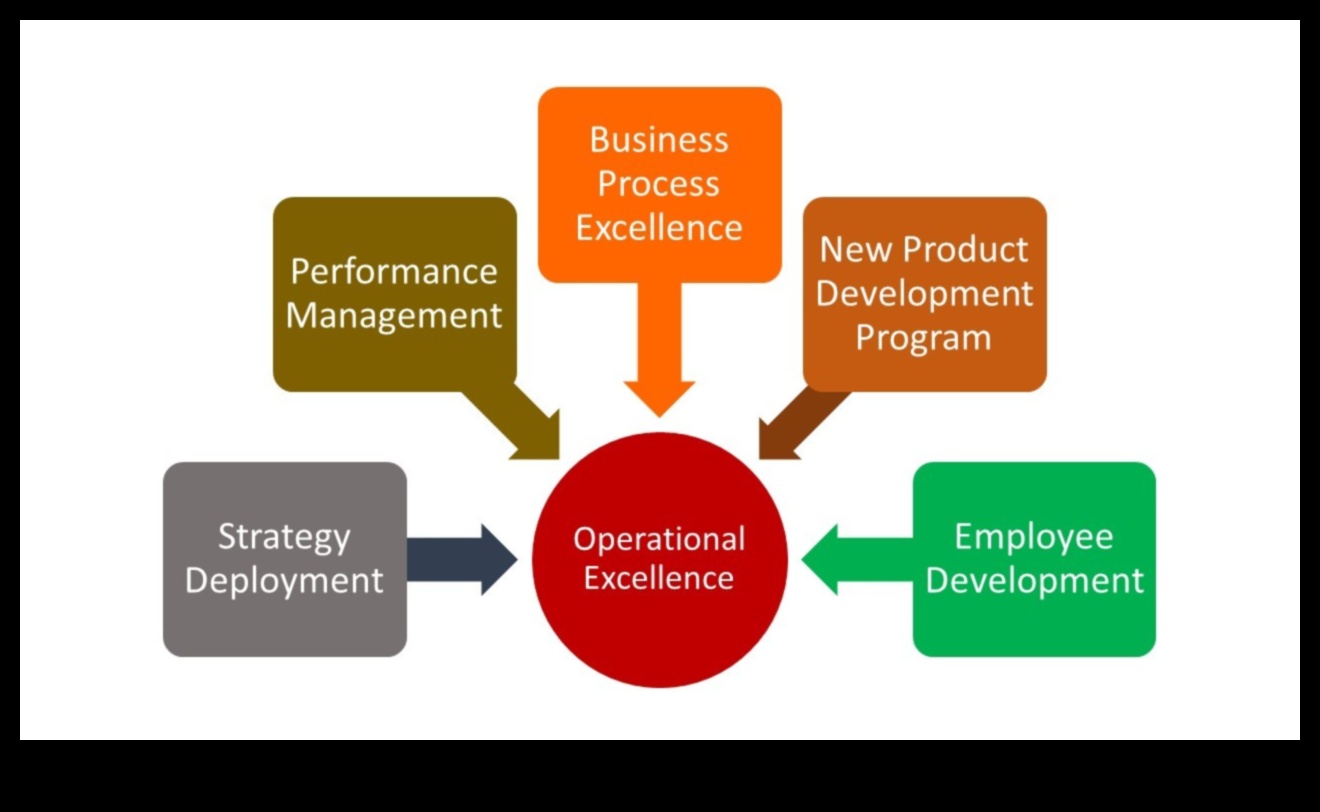 Excelența proceselor: dezlănțuirea puterii operațiunilor strategice de afaceri