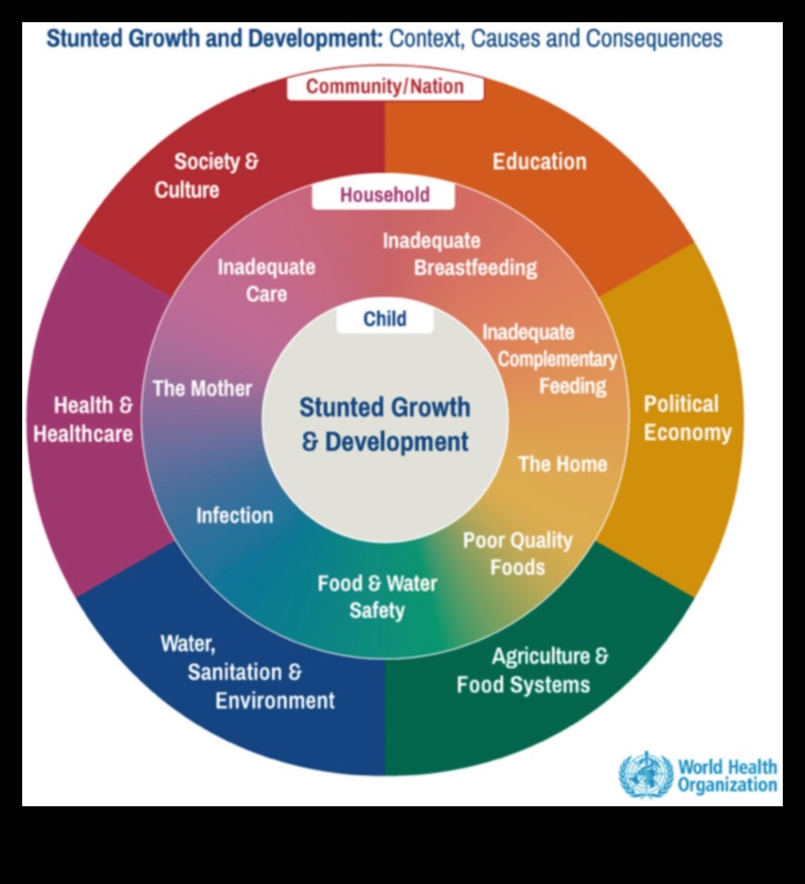 Puterea prevenirii Cum strategiile de nutriție pentru sănătatea publică pot îmbunătăți sănătatea și bunăstarea 2 Puterea prevenirii: Strategii de nutriție în sănătatea publică