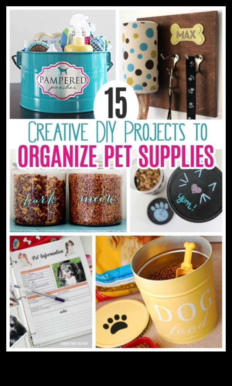 10 accesorii DIY pentru animale de companie pentru proprietarul creativ de animale de companie 2 Accesorii DIY pentru iubitorii de animale de companie: comori realizate manual pentru prietenii cu blană