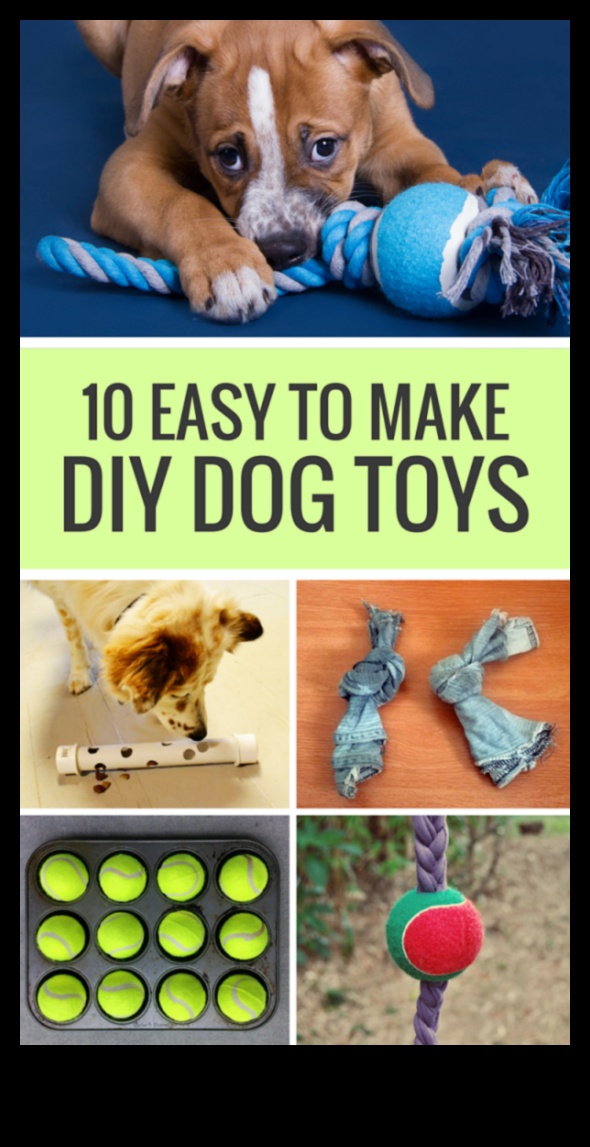 10 accesorii DIY pentru animale de companie pentru proprietarul creativ de animale de companie 4 Accesorii DIY pentru iubitorii de animale de companie: comori realizate manual pentru prietenii cu blană