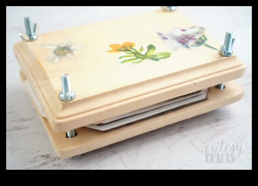 Presă de flori DIY pentru copii: crearea de capodopere botanice
