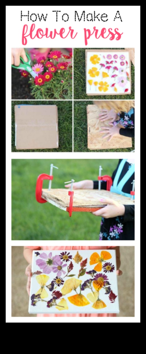 Presă de flori DIY pentru copii: crearea de capodopere botanice