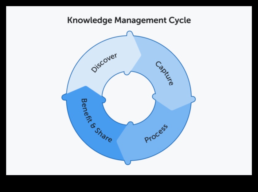 Soluții de management: navigarea în peisajul afacerilor cu înțelepciune
