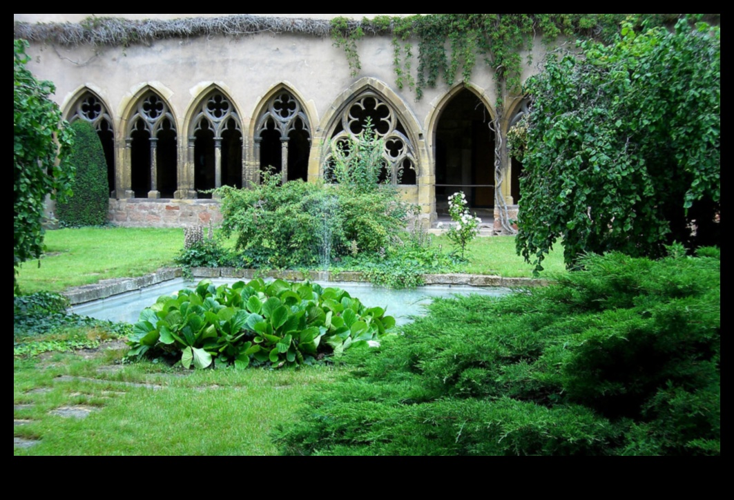 Culori claustrate: Scene vibrante în curțile monahale gotice