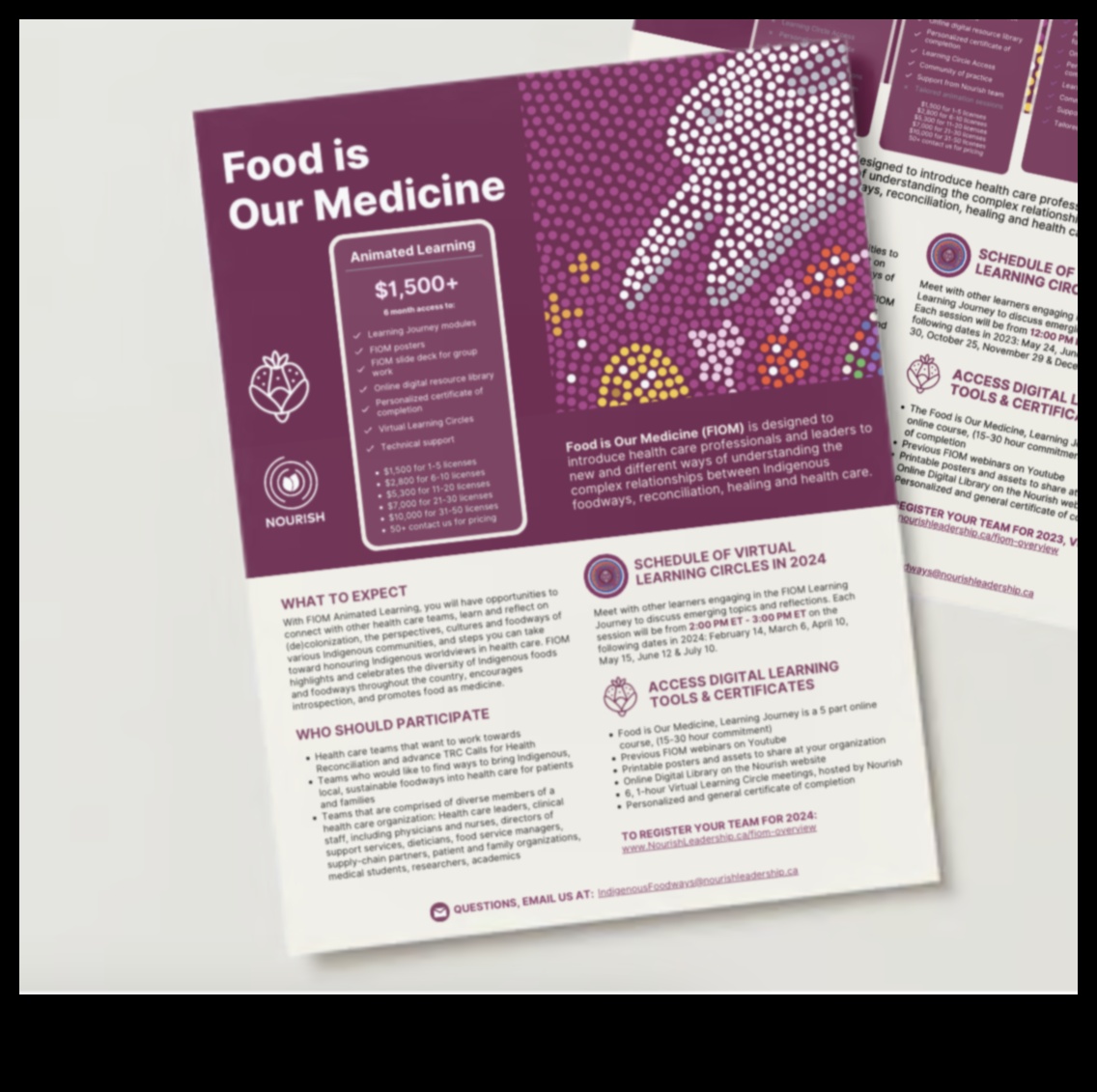 Comunitatea hrănită O cale către o sănătate publică mai bună 2 Comunitatea hrănită: căi de nutriție pentru sănătate publică