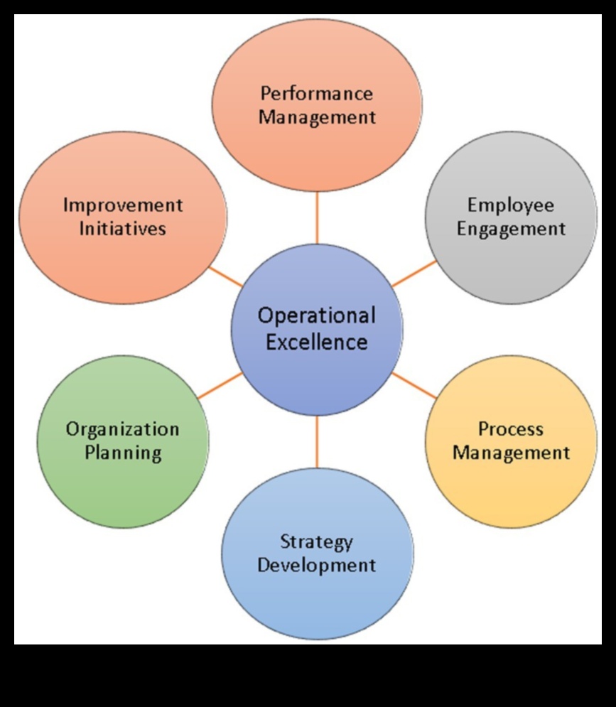 Începutul pentru impact Un ghid pentru excelența strategică în domeniul inteligenței de afaceri 5 Inception to Impact: A Guide to Strategic Business Intelligence Excellență