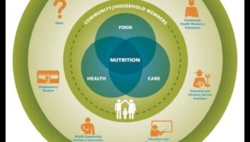 Cartierul Hrănit: Perspective despre Nutriția Sănătății Publice