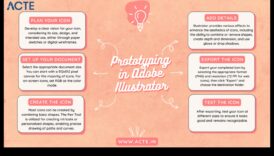 De la concept la clic: călătoria unui designer digital