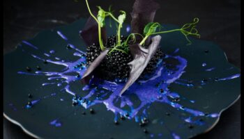 Meșteșuguri culinare pentru mese captivante: crearea de experiențe multi-senzoriale