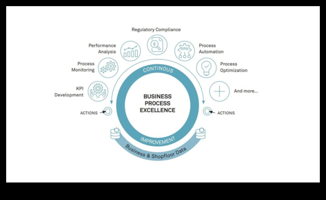Excelența proceselor: dezlănțuirea puterii operațiunilor strategice de afaceri