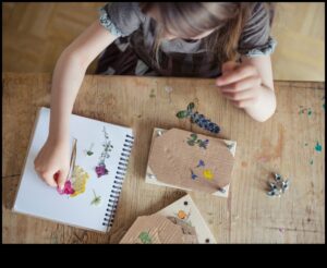 Presă de flori DIY pentru copii: crearea de capodopere botanice