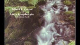 Minuni minerale: o călătorie în miracolele elementelor esențiale