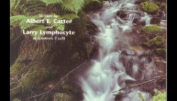 Minuni minerale: o călătorie în miracolele elementelor esențiale